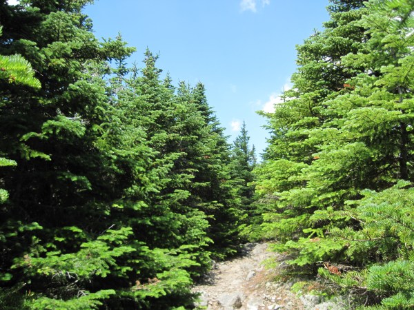 Start of the ridge walk