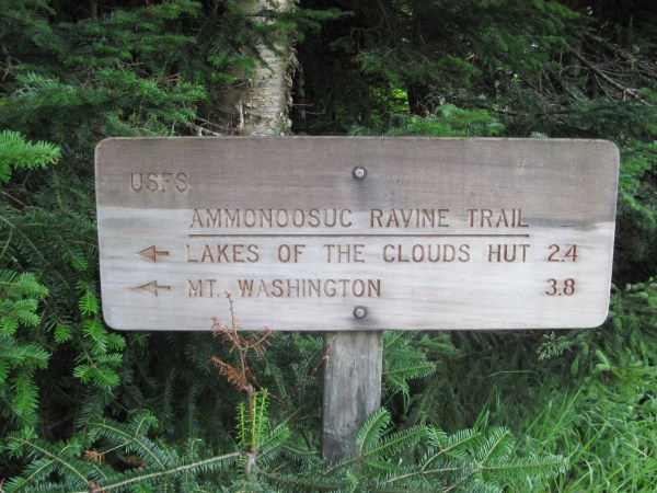 mount washington 005