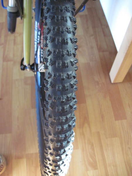 Bound Tree Trails 012