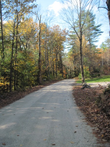 Bound Tree Trails 019