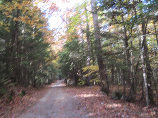 Bound Tree Trails 020