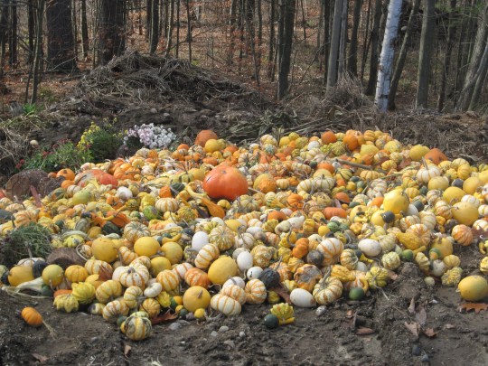 west end farm trail 008