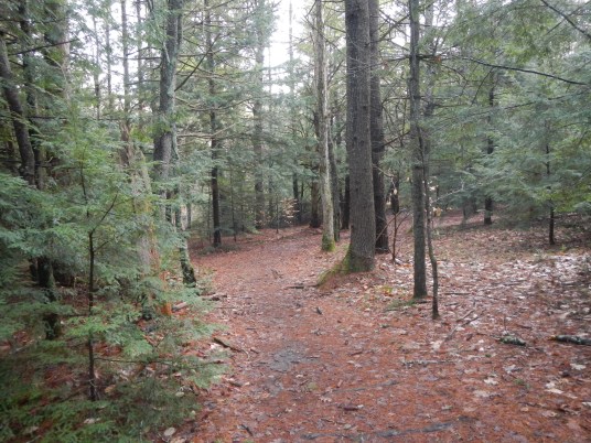 Bear Brook Mountain Biking - December