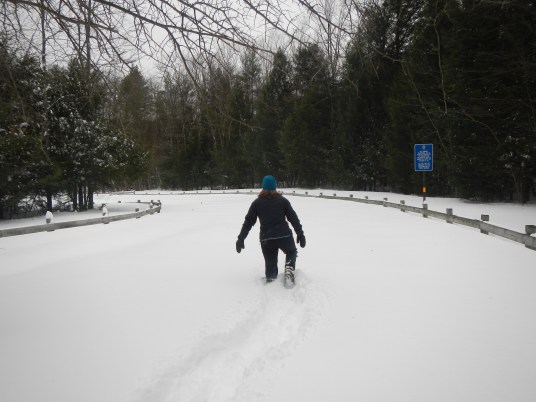 parking lot not plowed