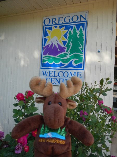 NH Moose enters Oregon!