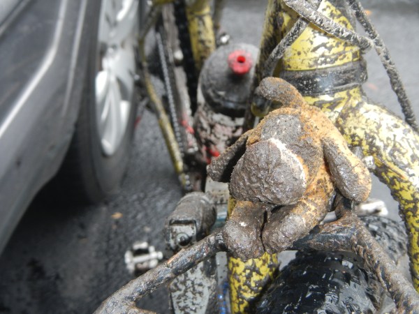 The Dog Says: It's muddy!