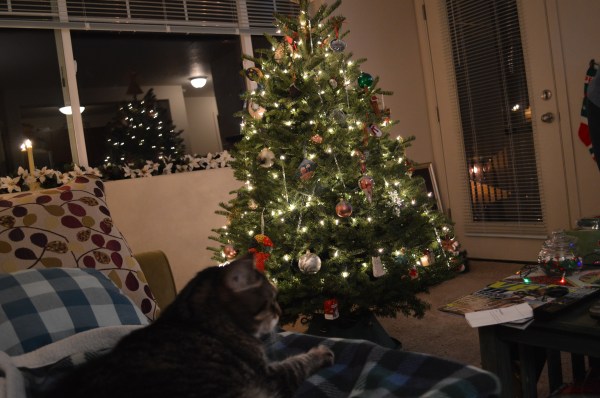 Merry Christmas 2013!