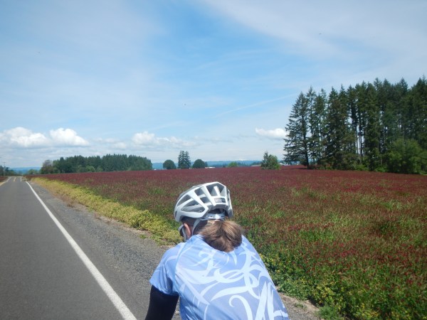 Mia with red clover to her right