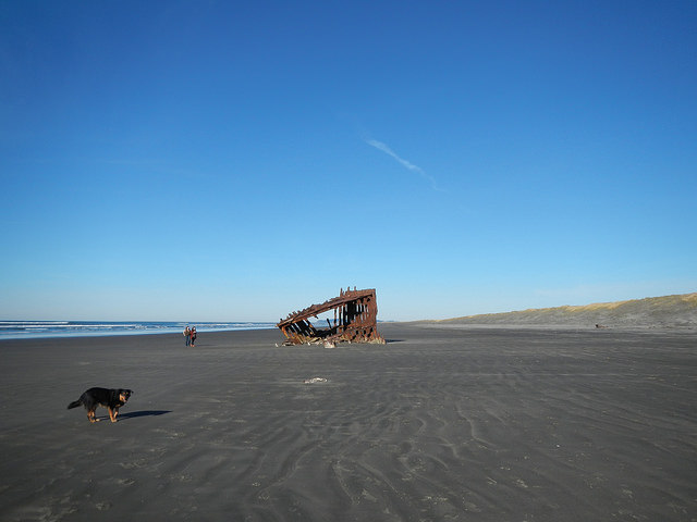 22586778834_14ebcd7cee_z