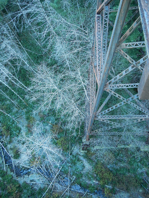 22731987333_ca2dc7ced0_z