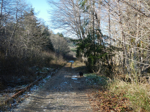 23063416650_f7cf39774f_z