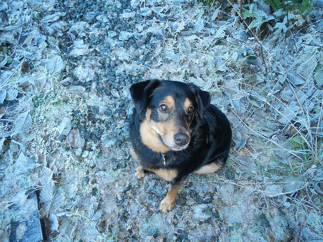 23332984576_6e95c96bcd_z