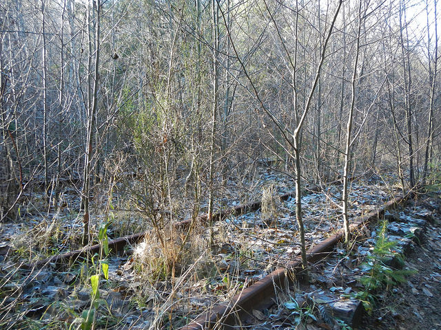 23333093186_1596522b88_z