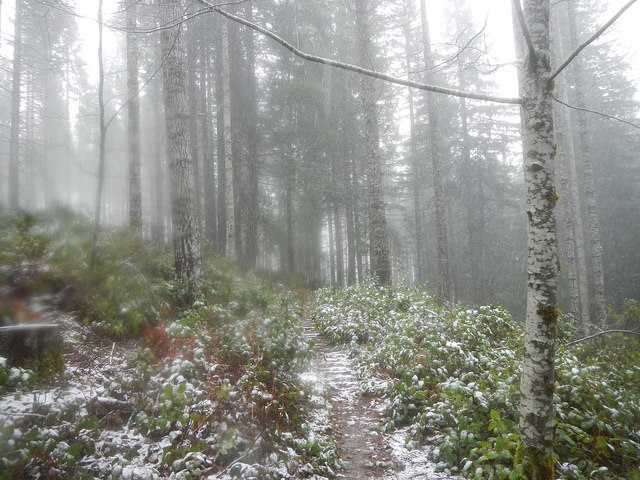 23128098004_a478efeecc_z