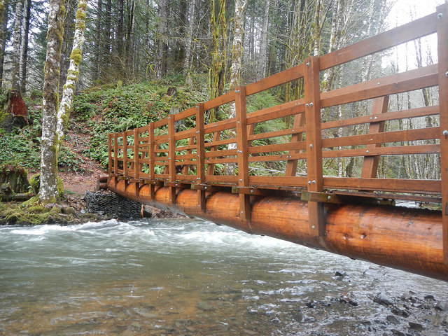 23129404223_cf74985686_z