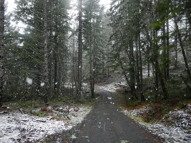 23129436423_d216d4cc37_z