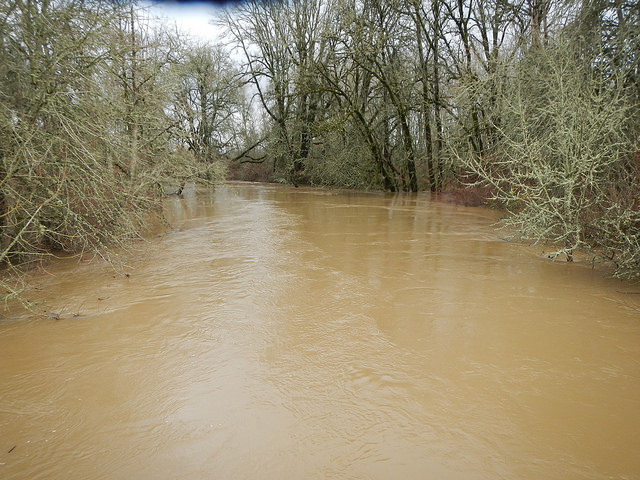 23226875983_5b2aed9a31_z