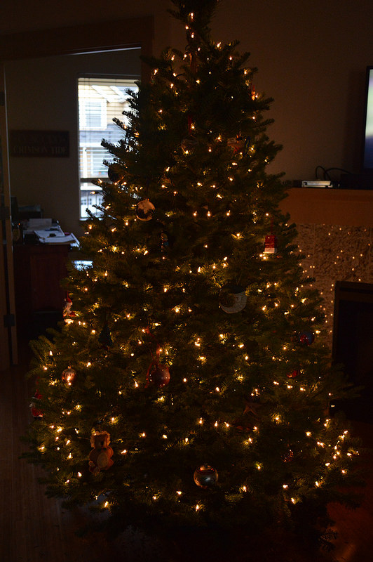 23277597760_5cdbf75f5f_c