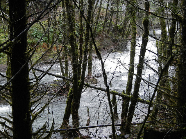 23673892081_a5fab2573d_z