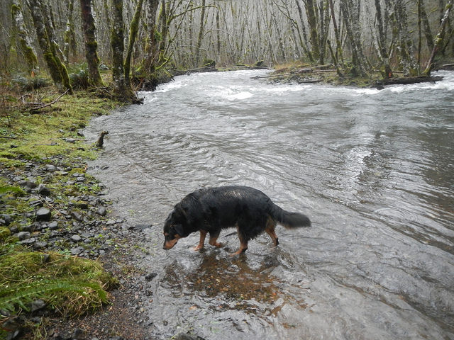 23730091766_6a3f023a0f_z