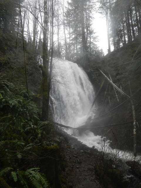 23730108866_d80e470ac8_z