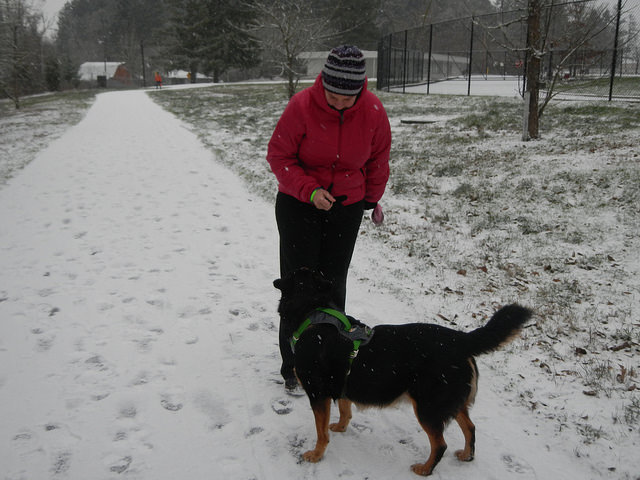 23531613013_323b53350a_z