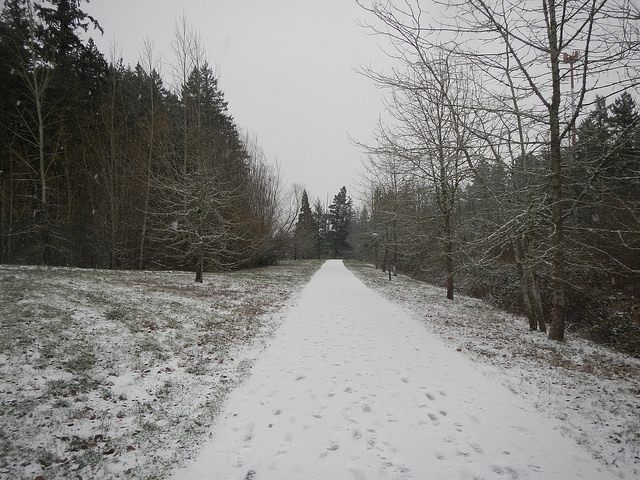 24075792461_9bc0508276_z