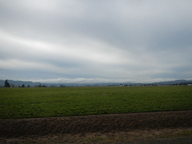 24104799499_0fe03fbdd4_z