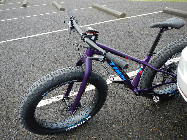 24111118694_505d42a235_z