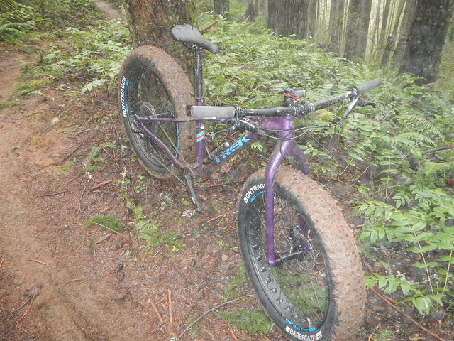 24645759071_bbce1c8338_z