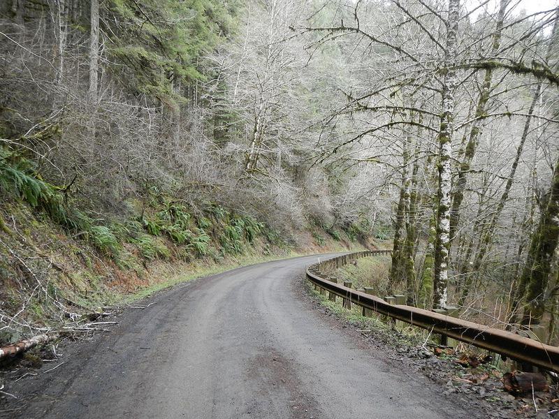 24512384379_13df6d34ee_c