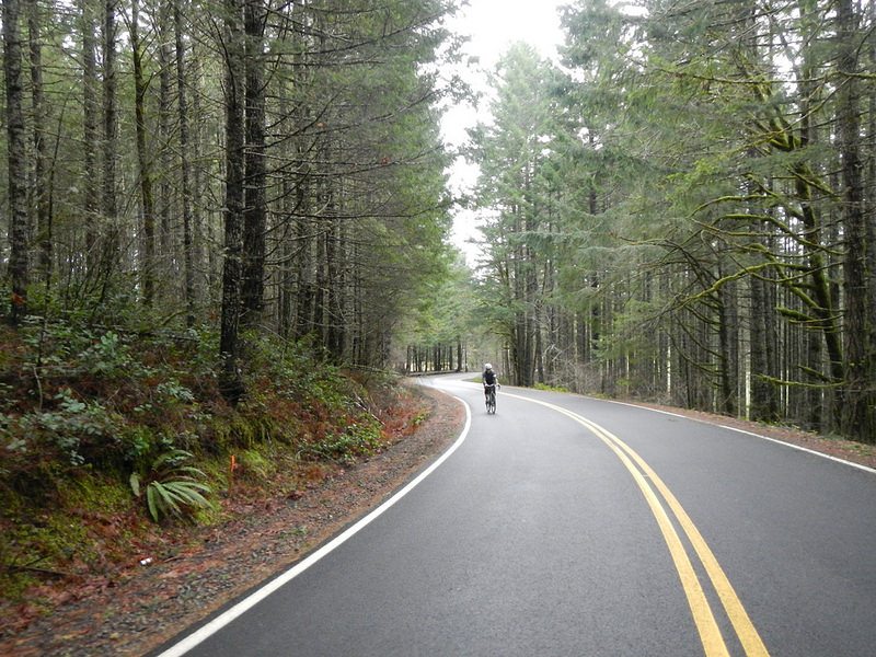 24584549220_1f8d5cc958_c