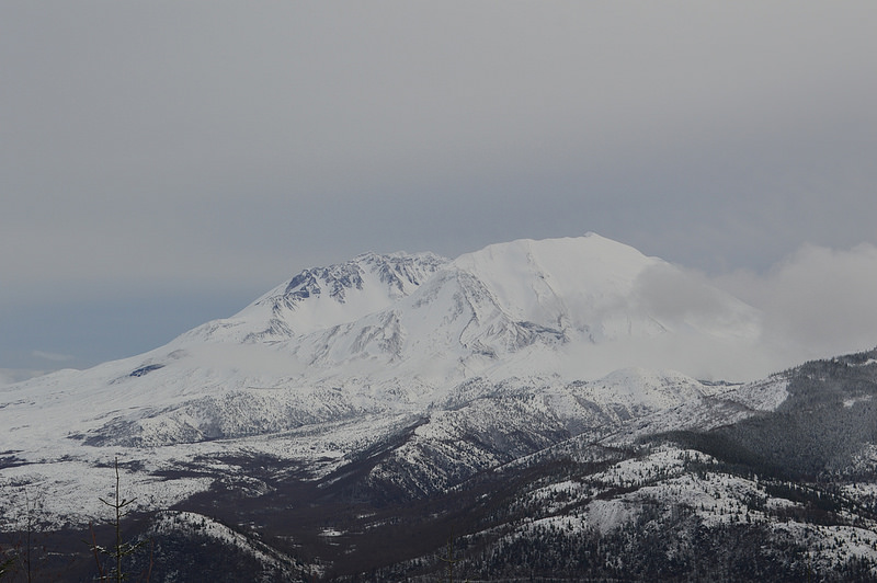 24882489810_d2fd7240f2_c