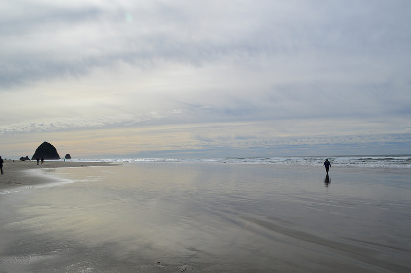 24932810090_fa6f2e19c0_c