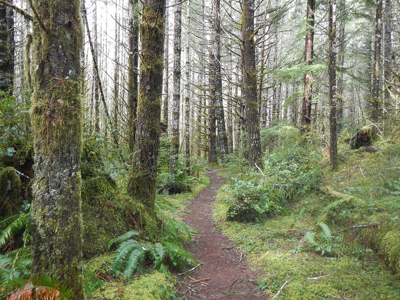 24911976334_827b45d6a5_c