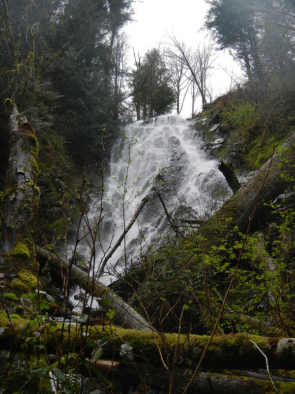 25110134494_887c7602f6_c