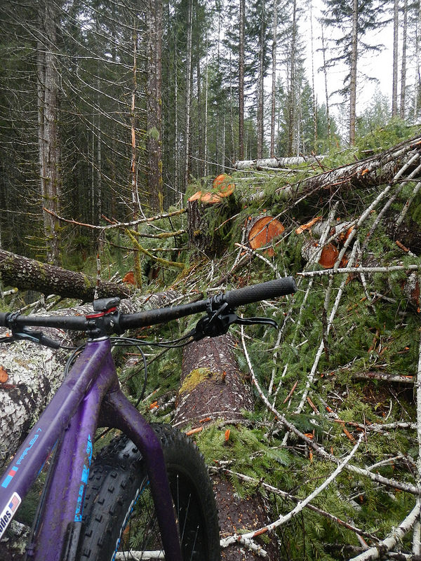 25449763611_2ffe7f7152_c