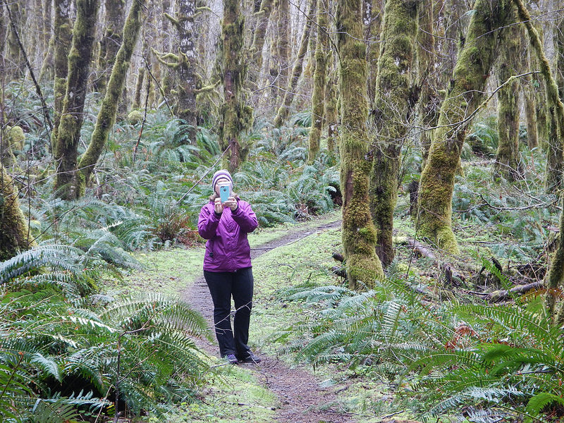 25619540282_a6f3ca736e_c