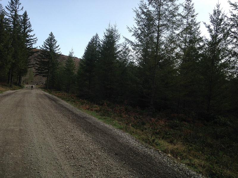 25991761811_8eed4ed035_c