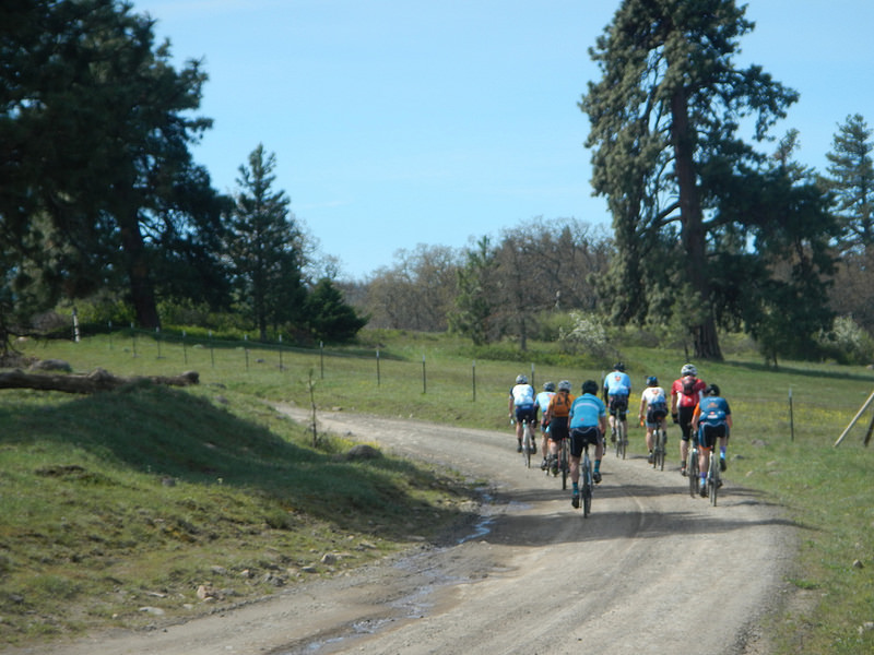 25887387183_c8239789e8_c1