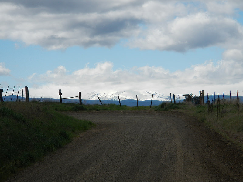 26350689260_f02409d79a_c