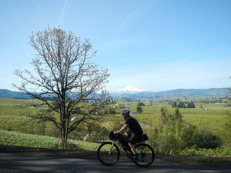 26424170601_2beebc54f2_c