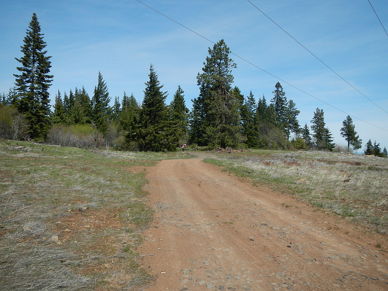 26490138535_d26855ca6a_c