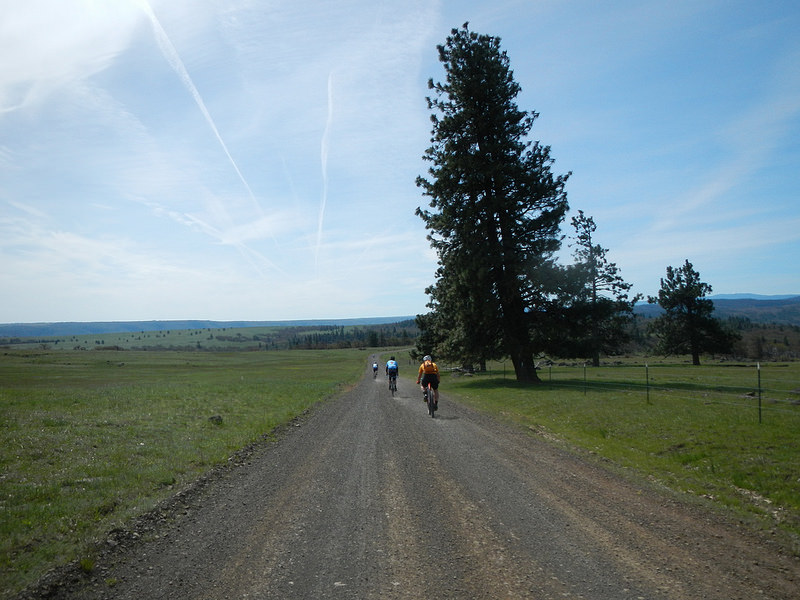 26490226755_19370c5400_c