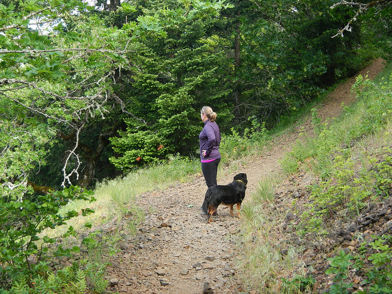 26294978074_d3507b436f_c