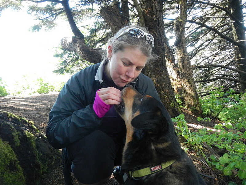 26295986843_79835ce006_c