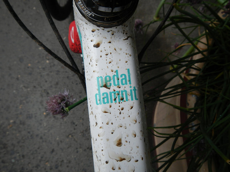 26574302854_47c843516b_c