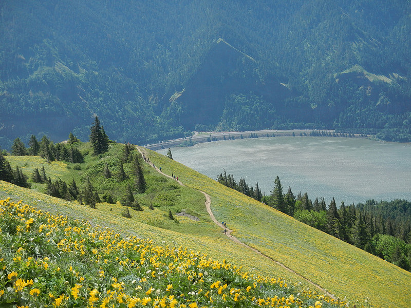 26806715162_042fe034f4_c