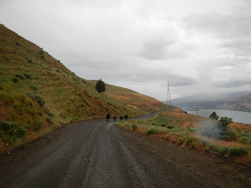 27147142966_6fce8bd66f_c