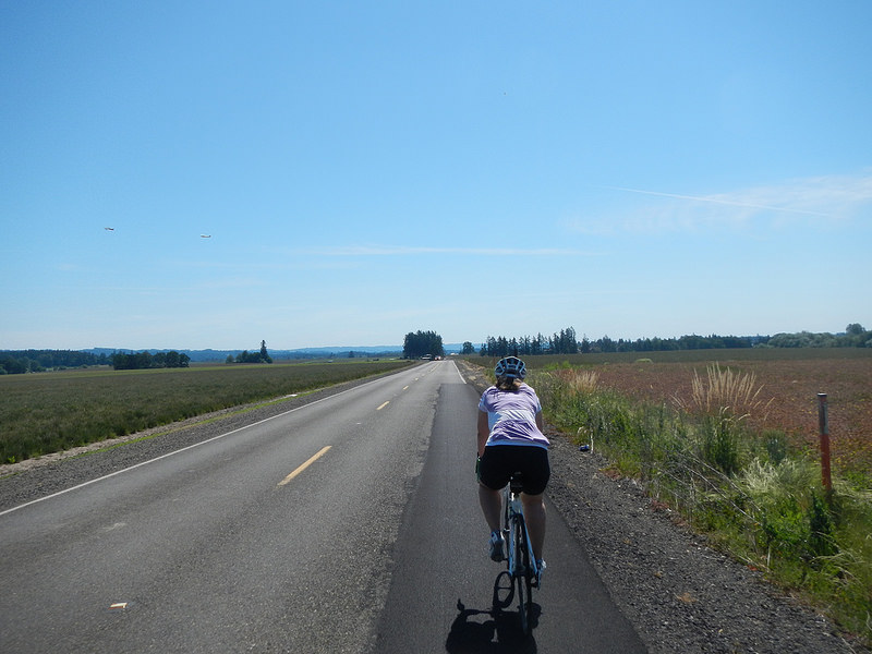 27451684976_6b981de10e_c